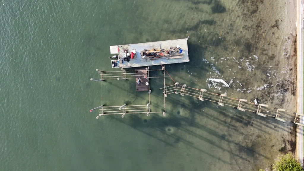 What Triton Doc we do